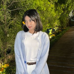 Putri Sapitri