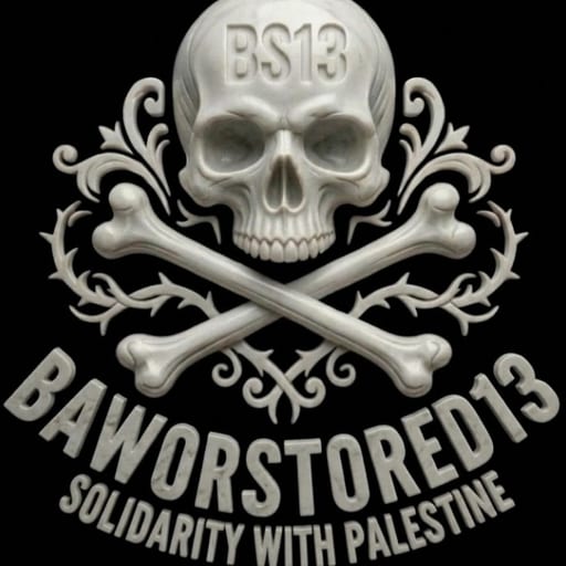 BS13