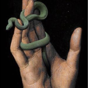 Snake Snake
