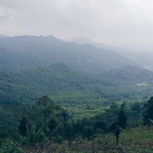 mat