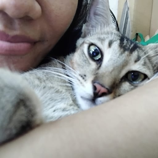 Ana