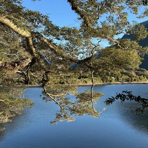 prelovedbytya