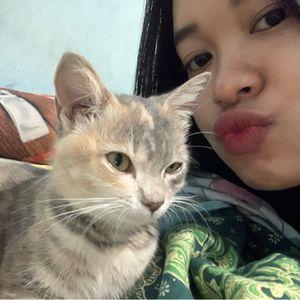 kinan