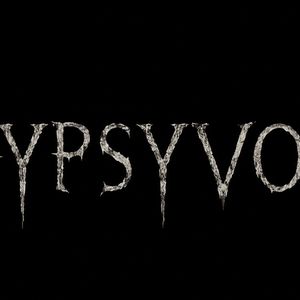 GYPSYVOID