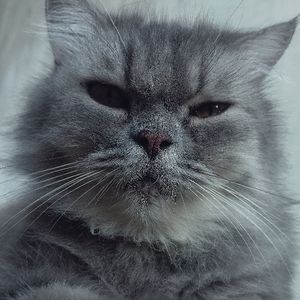 Zzzz