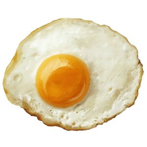 telurceploks