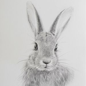 Bunnies Preloved