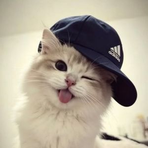 michiee
