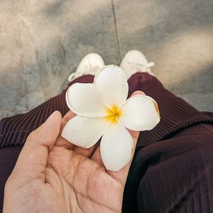 Lutfiana Mustika dwi