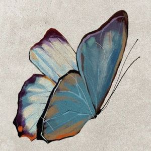 butterlove