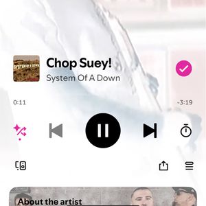 chopsuey5046