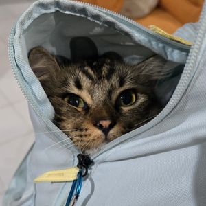 Yeonhe
